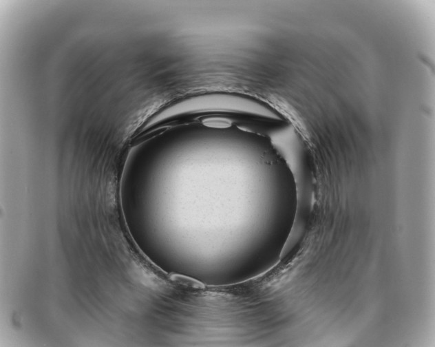 X0000096210393200801251039