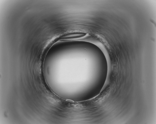 X0000096210395200801251039