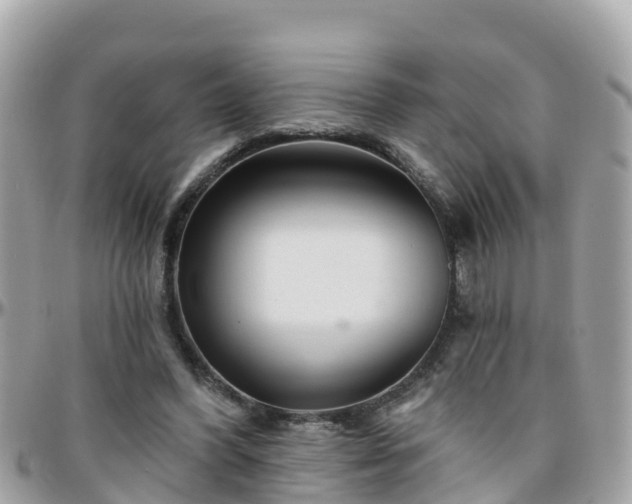 X0000096210396200801251039