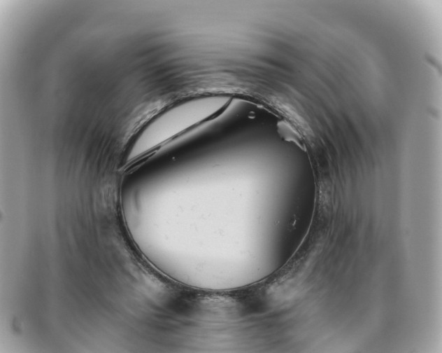 X0000096210397200801251039