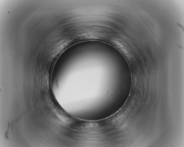 X0000096210398200801251039