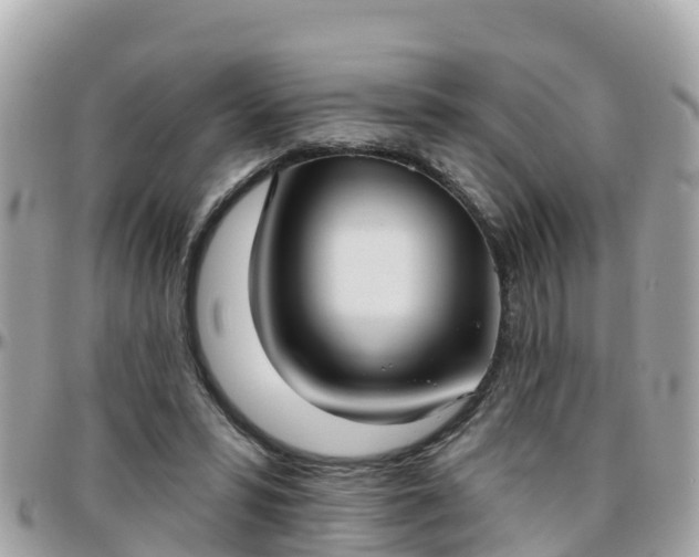 X0000096210399200801251039