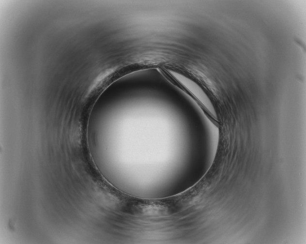 X0000096210400200801251039