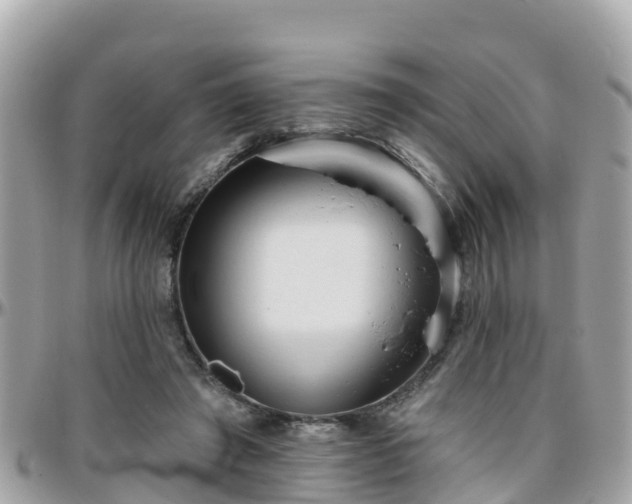 X0000096210401200801251039