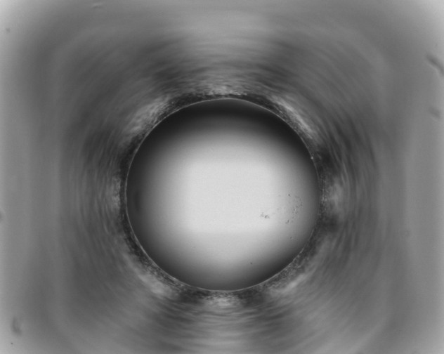 X0000096210402200801251039