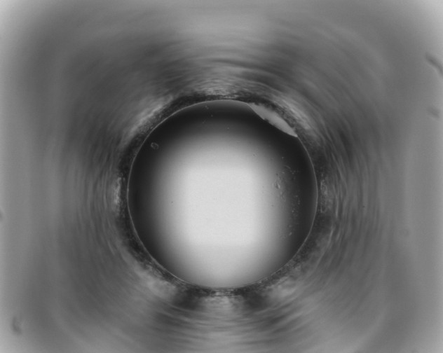 X0000096210404200801251039