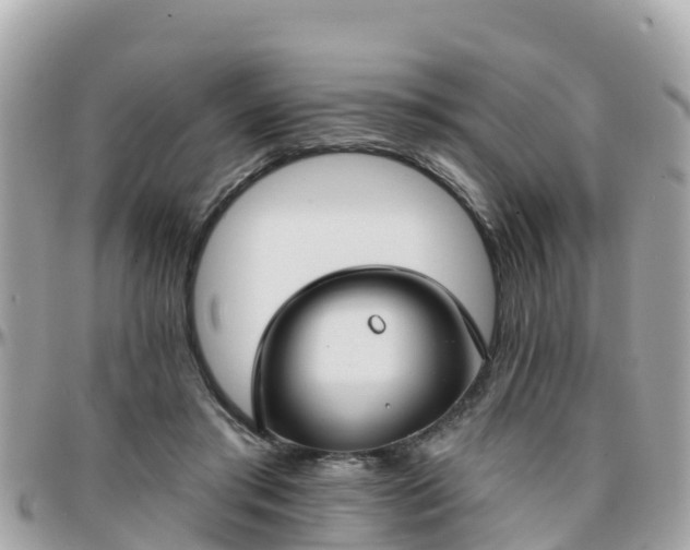 X0000096210405200801251039