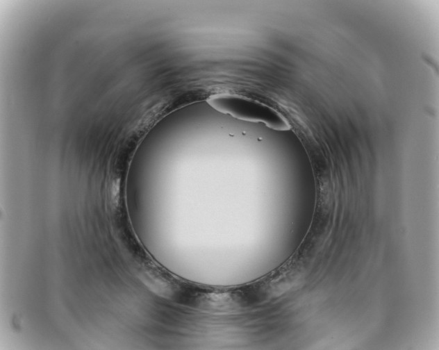 X0000096210406200801251039