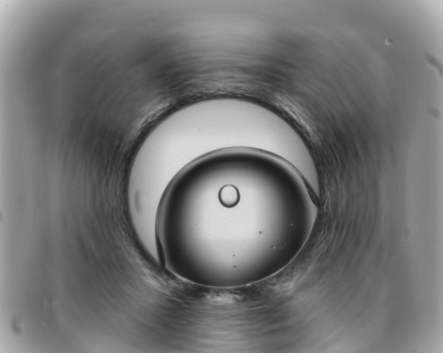 X0000096210407200801251039