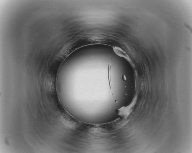 X0000096210408200801251039