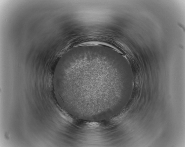 X0000096210409200801251039