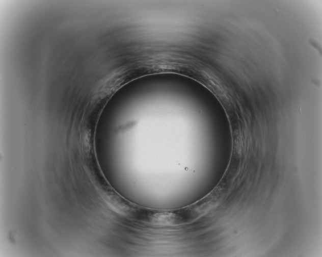 X0000096210410200801251039