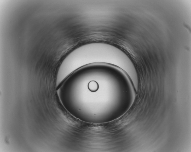 X0000096210411200801251039