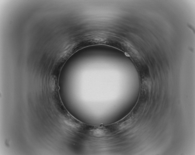 X0000096210412200801251039