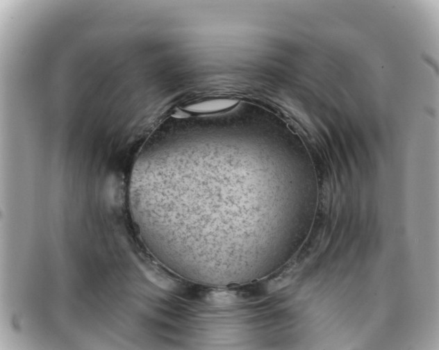 X0000096210413200801251039