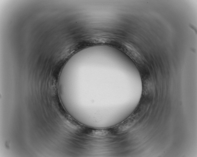 X0000096210414200801251039