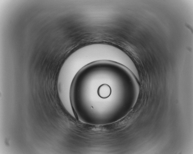 X0000096210415200801251039