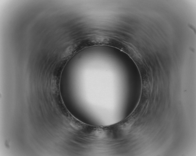 X0000096210416200801251039