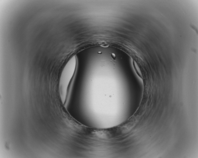 X0000096210417200801251039