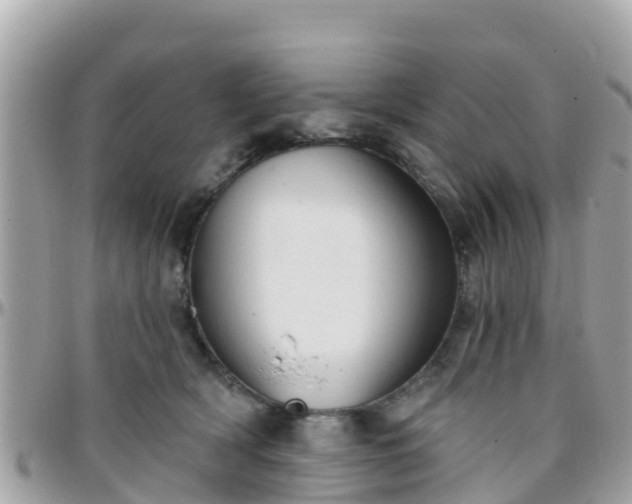 X0000096210418200801251039