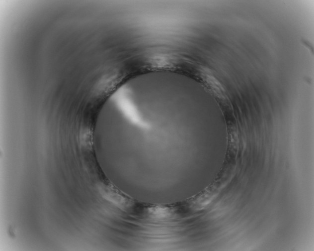 X0000096210419200801251039