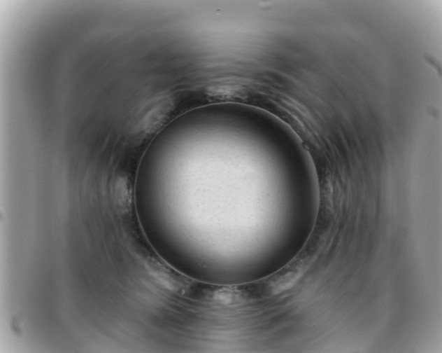 X0000096210420200801251039