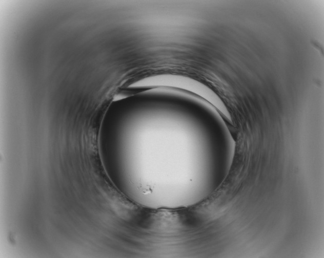 X0000096210421200801251039