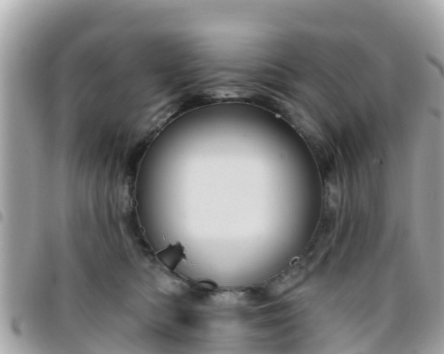 X0000096210422200801251038