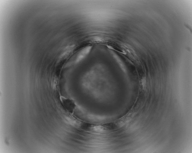 X0000096210423200801251038