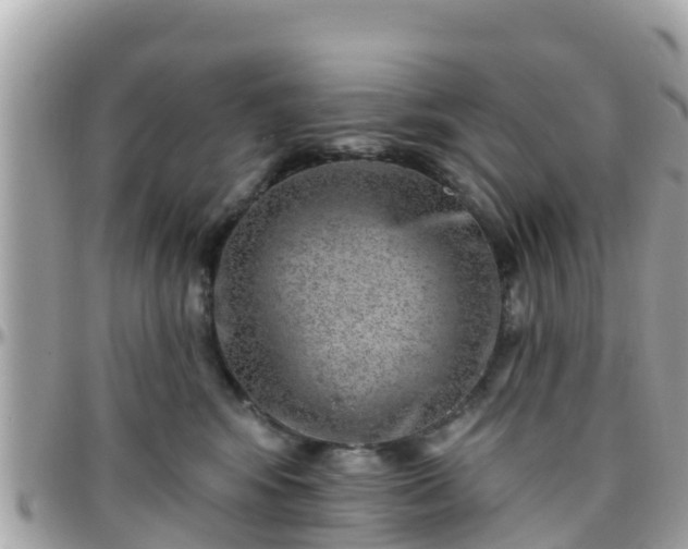 X0000096210424200801251038