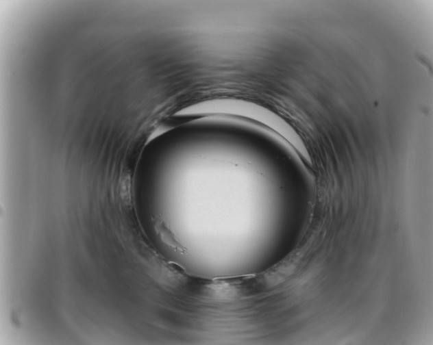 X0000096210425200801251038