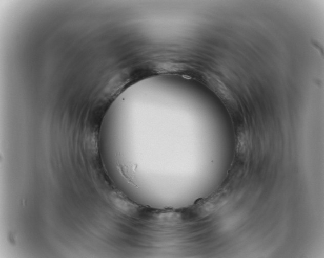 X0000096210426200801251038