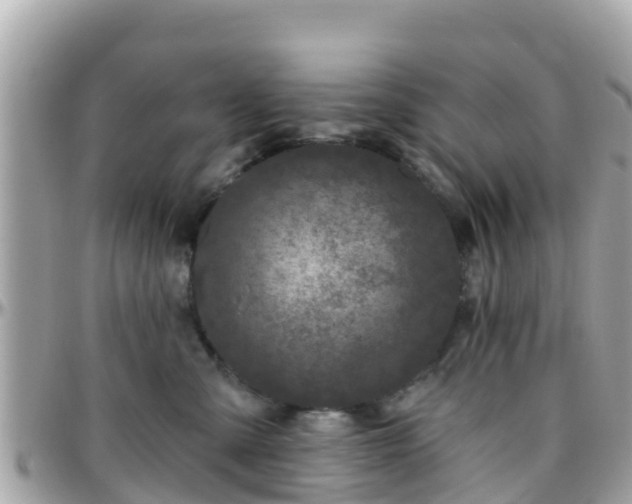 X0000096210427200801251038