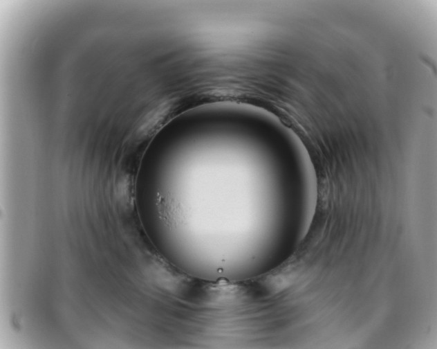 X0000096210428200801251038