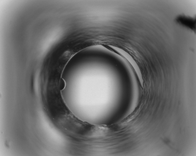 X0000096210429200801251038