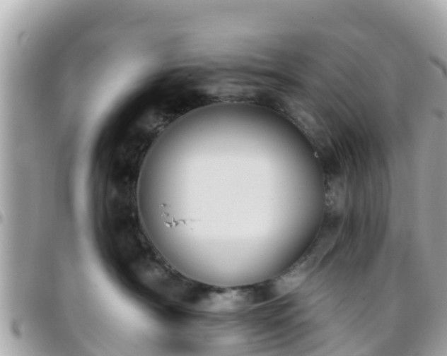 X0000096210430200801251038