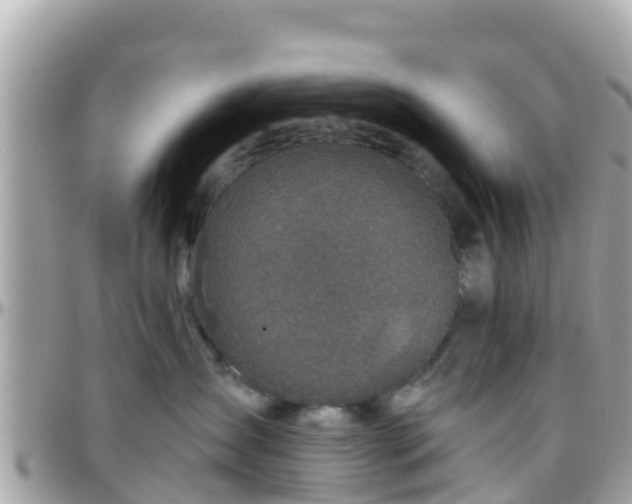 X0000096210431200801251038