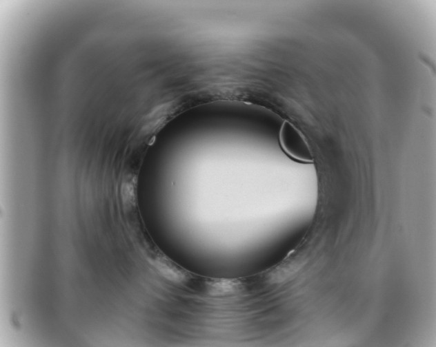 X0000096210432200801251038