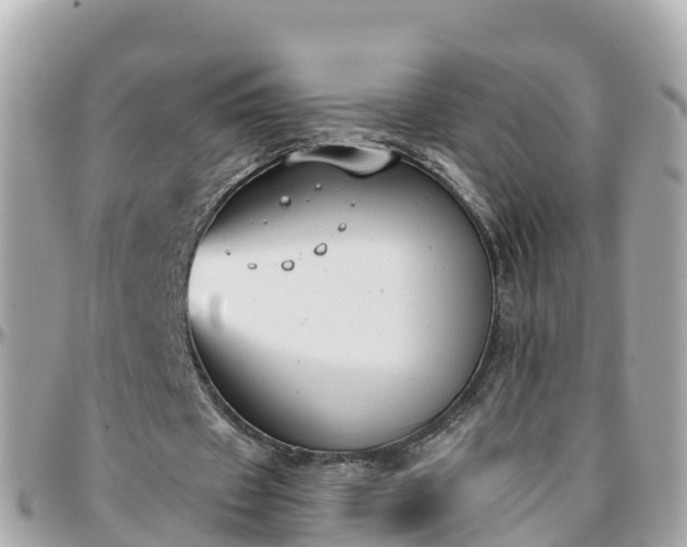 X0000096210433200801251038