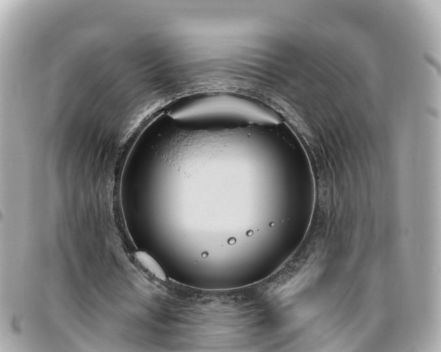 X0000096210434200801251038