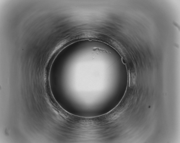 X0000096210435200801251038