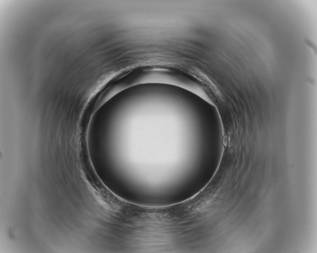 X0000096210436200801251038