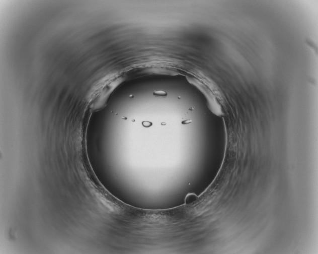 X0000096210437200801251038