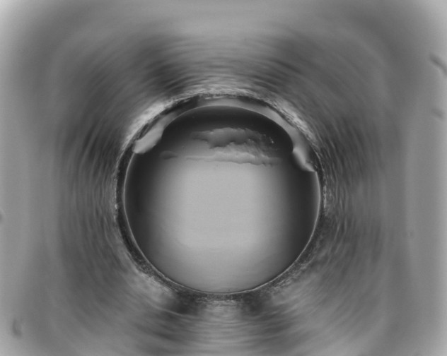 X0000096210438200801251038