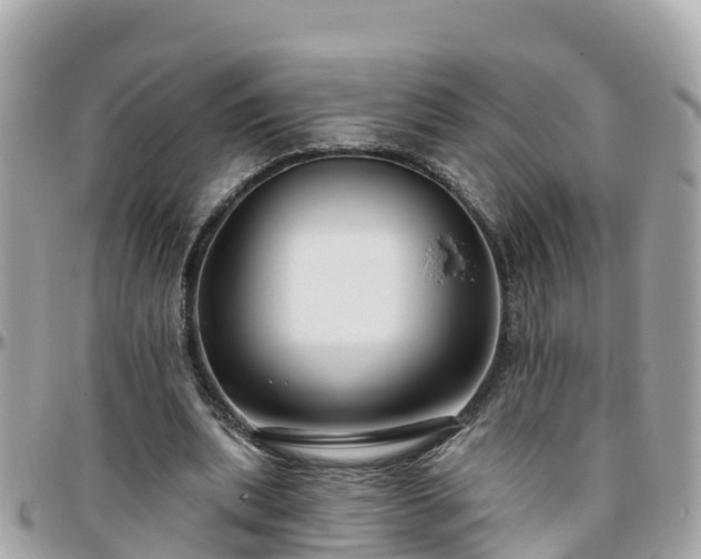 X0000096210439200801251038