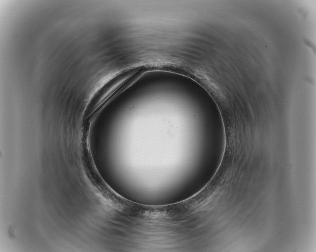 X0000096210440200801251038