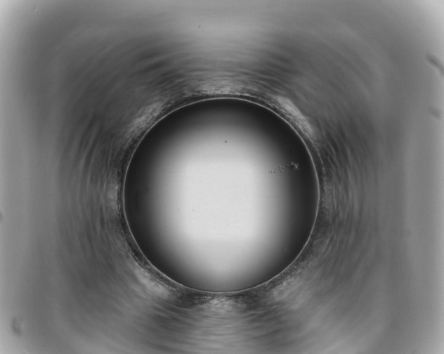 X0000096210441200801251038