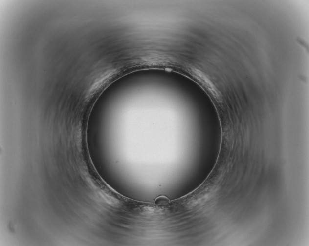 X0000096210442200801251038