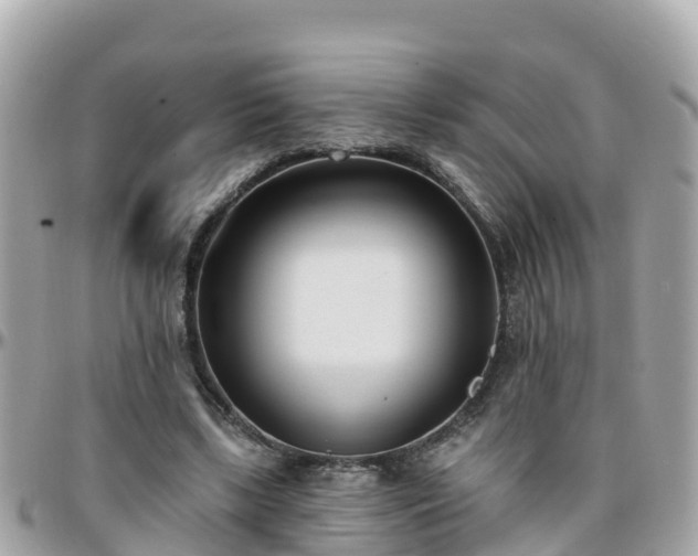 X0000096210443200801251038