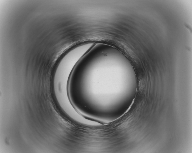 X0000096210444200801251038